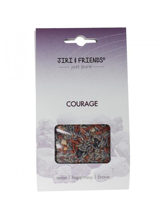 Jiri & Friends jiri&fr harswierook courage