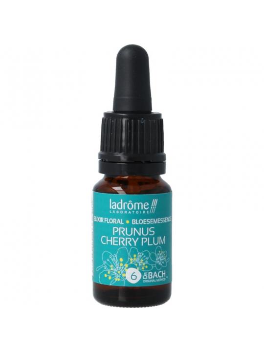 Ladrome cherry plum bio