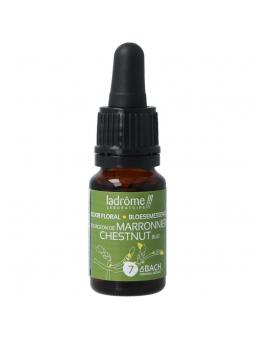 Ladrome Chestnut bud bio