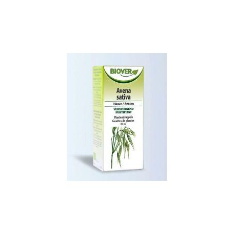 Avena sativa tinctuur bio