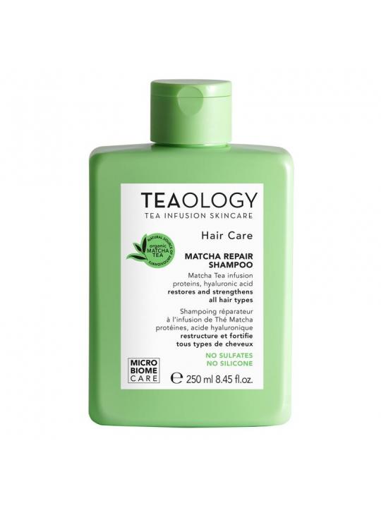 Teaology Matcha shampoo repair