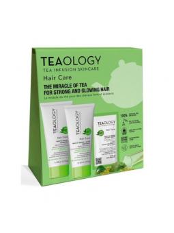 Teaology Matcha repair hair care kit