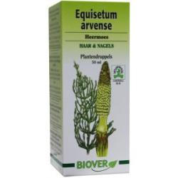 Equisetum arvense tinctuur bio