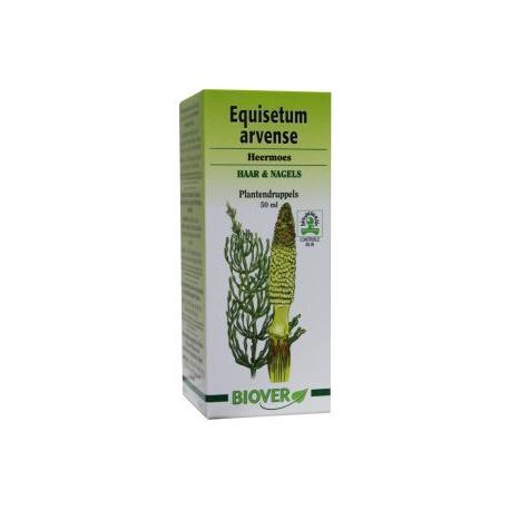 Equisetum arvense tinctuur bio