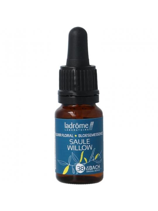 Ladrome willow bio