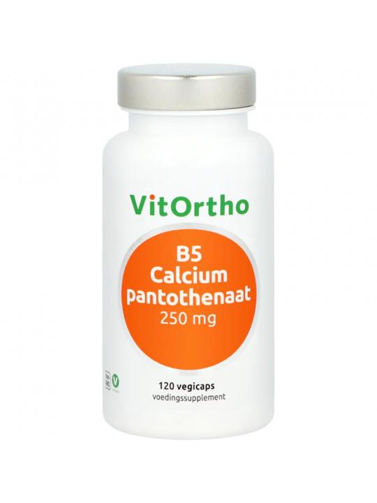 Vitorhto b5 calcium pantothenaat 250mg