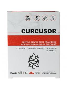 Soriphar curcusor ct