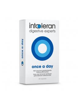 Intoleran once a day