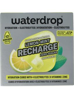 Waterdrop microlyte lemon mint