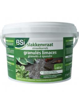 Slakkenvraat