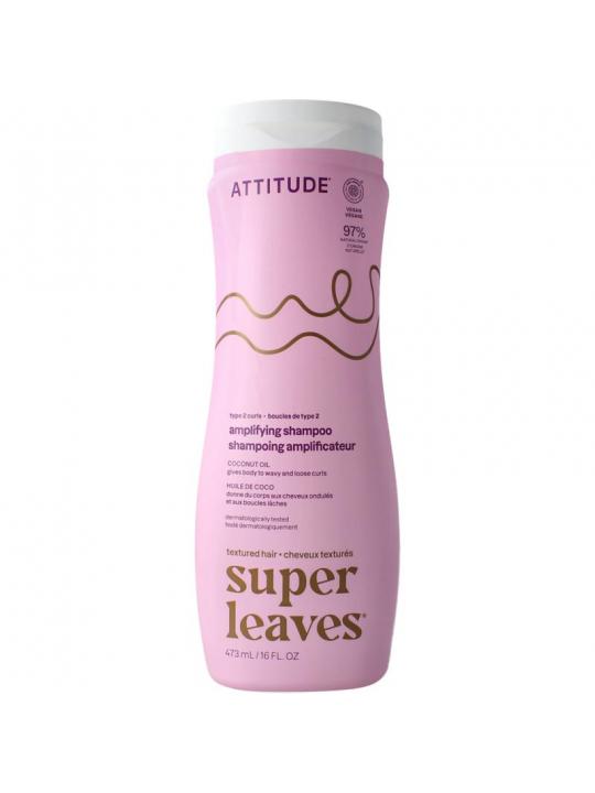 Atttitude shamp coco curl ampli type 2