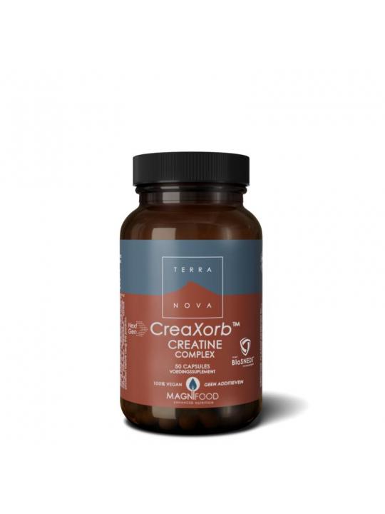 Terranova Creaxorb creatine plus