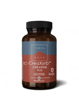 Terranova Creaxorb creatine plus