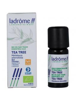  melaleuca alternifolia tea tre