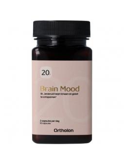  brain mood