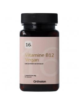  vitamine b12 vegan