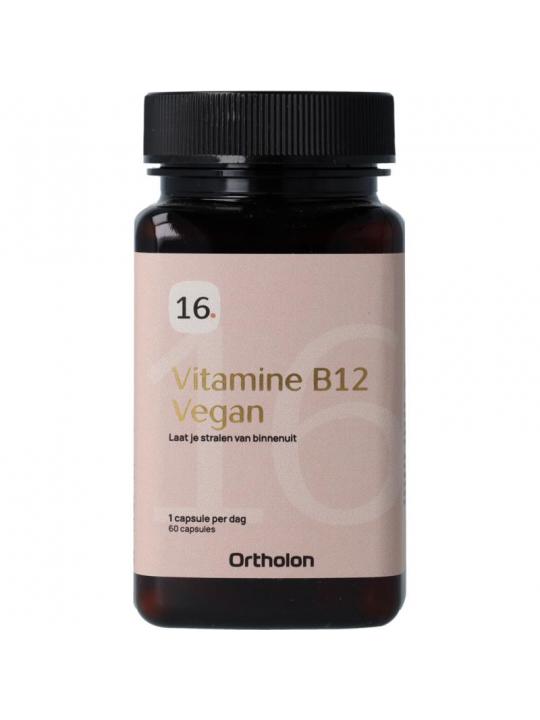  vitamine b12 vegan