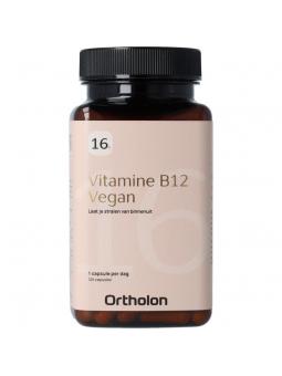  vitamine b12 vegan