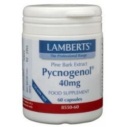 Pijnboombast extract (Pycnogenol 40mg)