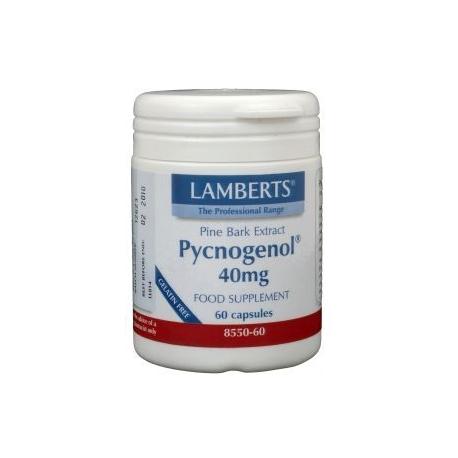 Pijnboombast extract (Pycnogenol 40mg)