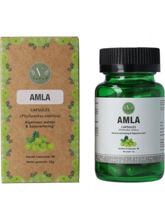  amla capsules