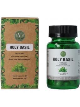  holy basil capsules