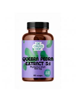 quebra pedra extract 5:1