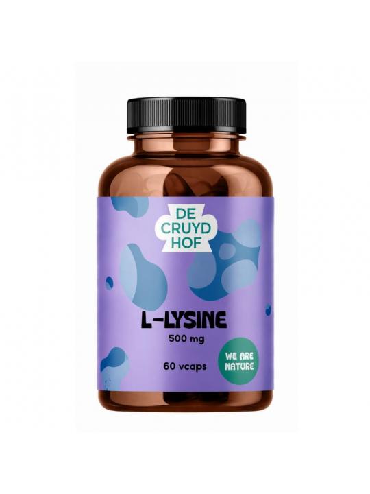  l-lysine