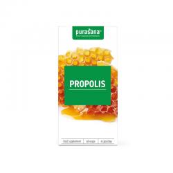 Propolis