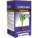 Curcuma