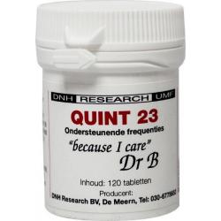 Quint 23