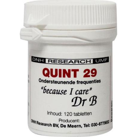 Quint 29