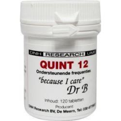 Quint 12 dnh