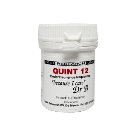 Quint 12 dnh