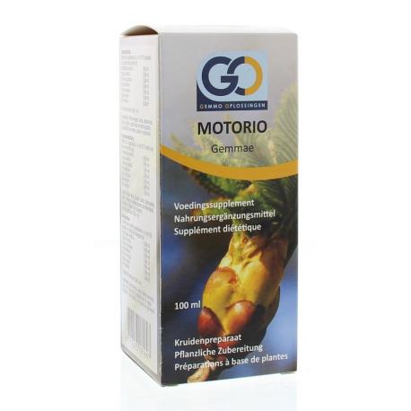 Motorio bio