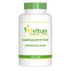 Duivelsklauw harpagophytum