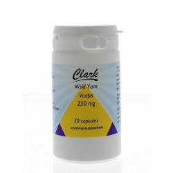 Wilde yam 250mg