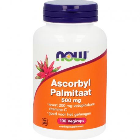 Ascorbyl palmitaat 500mg