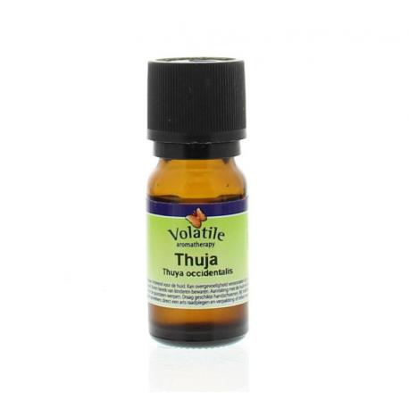 Thuja