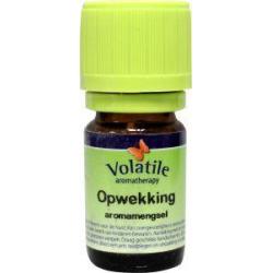 Opwekking