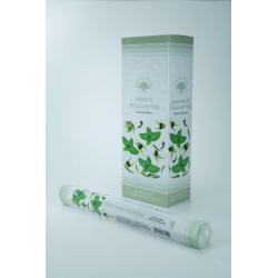 Wierook mint en eucalyptus