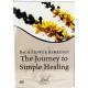 The journey to simple heal dvd