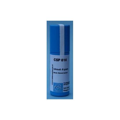 CSP 016 Capillairosode Causaplex