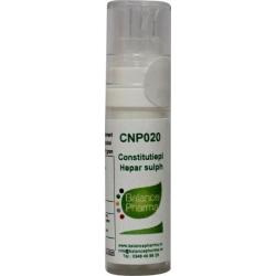 CNP20 Hepar sulph Constitutieplex