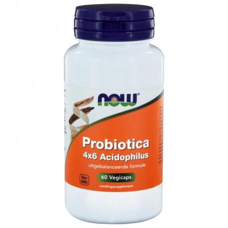 Biotica 4x6 vh probiotica