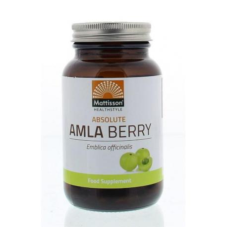 Absolute amla berry extract 500mg