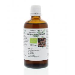 Propolis maceraat bio