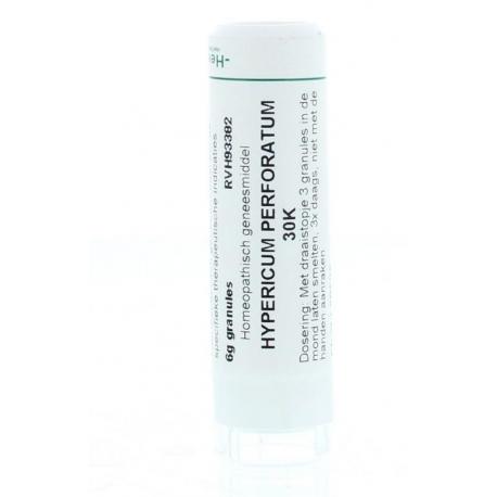 Hypericum perforatum 30K