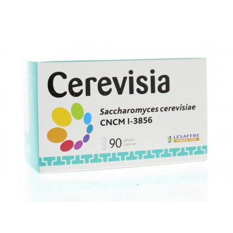 Cerevisia