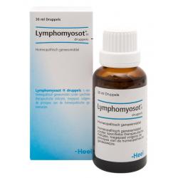 Lymphomyosot H